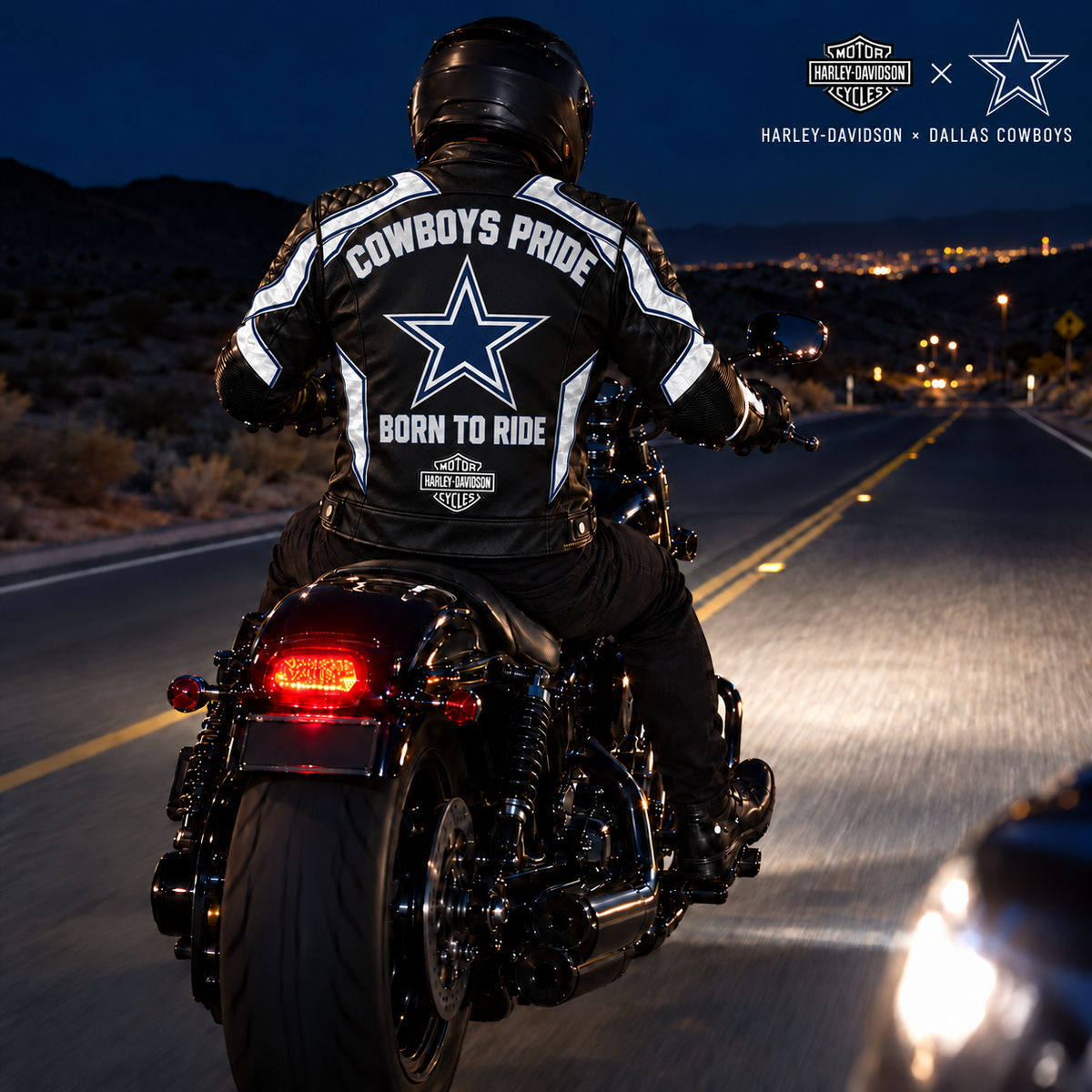 DLCB Reflective Biker Jacket PNPA