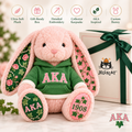 AKA Premium Bunny Plush Toy TNSM